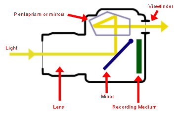 SLR mirror system diagram